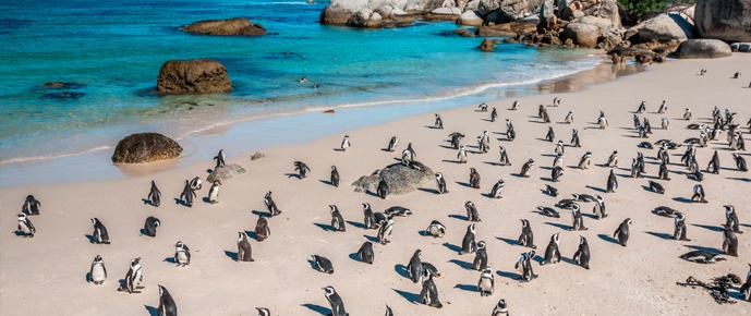 o que fazer na cidade do cabo