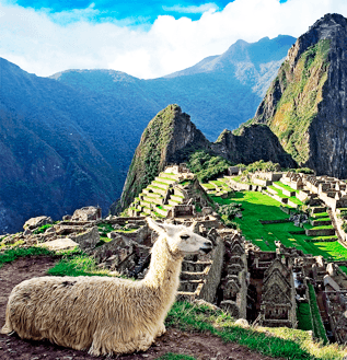 Machu Picchu Top Brasil Turismo