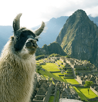 Machu Picchu Top Brasil Turismo