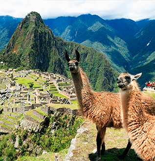 Machu Picchu Top Brasil Turismo