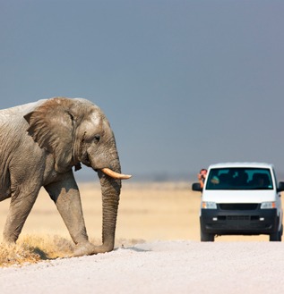 pacotes para namibia
