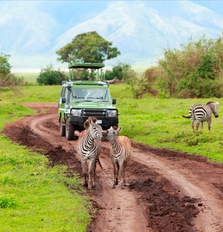 pacotes para tanzania