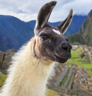 pacotes para machu picchu