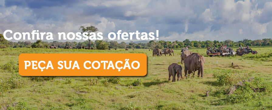 pacote africa do sul