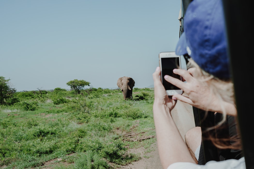 Mulher tirando foto de um elefante no safári de sua viagem para a África do Sul