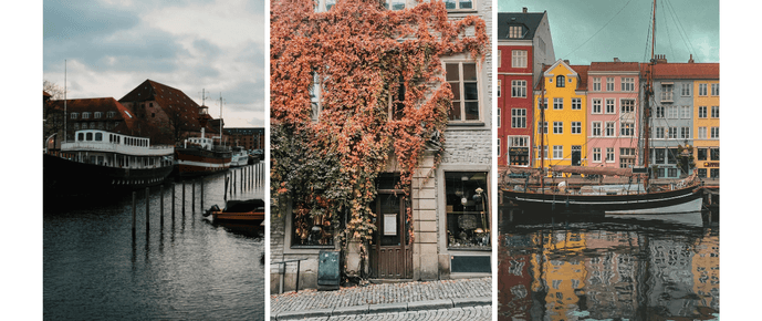 Cýpia de Noruega, Dinamarca e Suýcia II