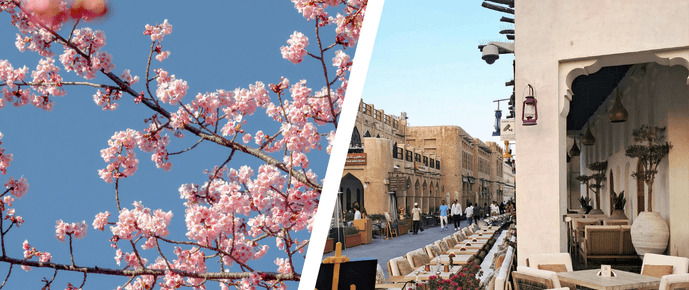 Japýo nas Cerejeiras com Doha