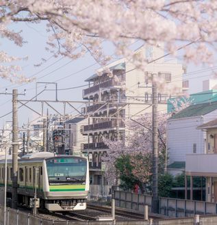 pexels-ashar-mirza-2148003869-32118622 (1)