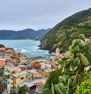 pexels-myersmc16-31386721 (1)